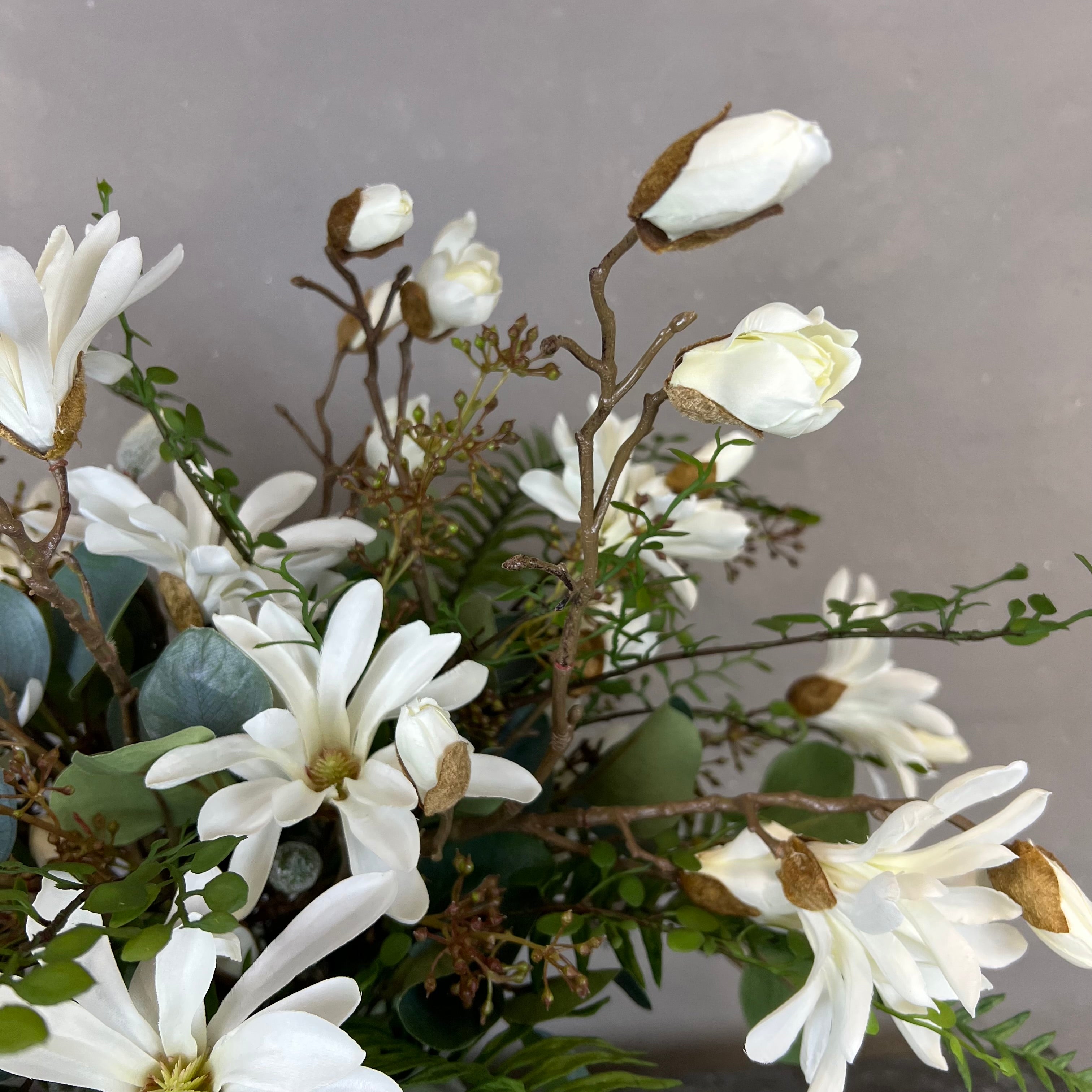 Vidunderlige Magnolia