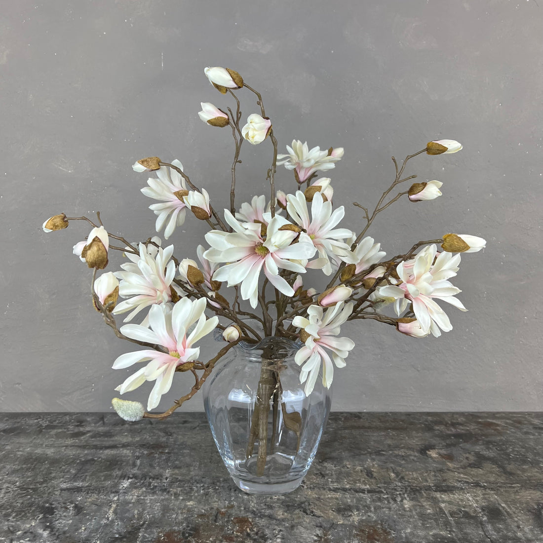 Japanske Magnolia - Rosa