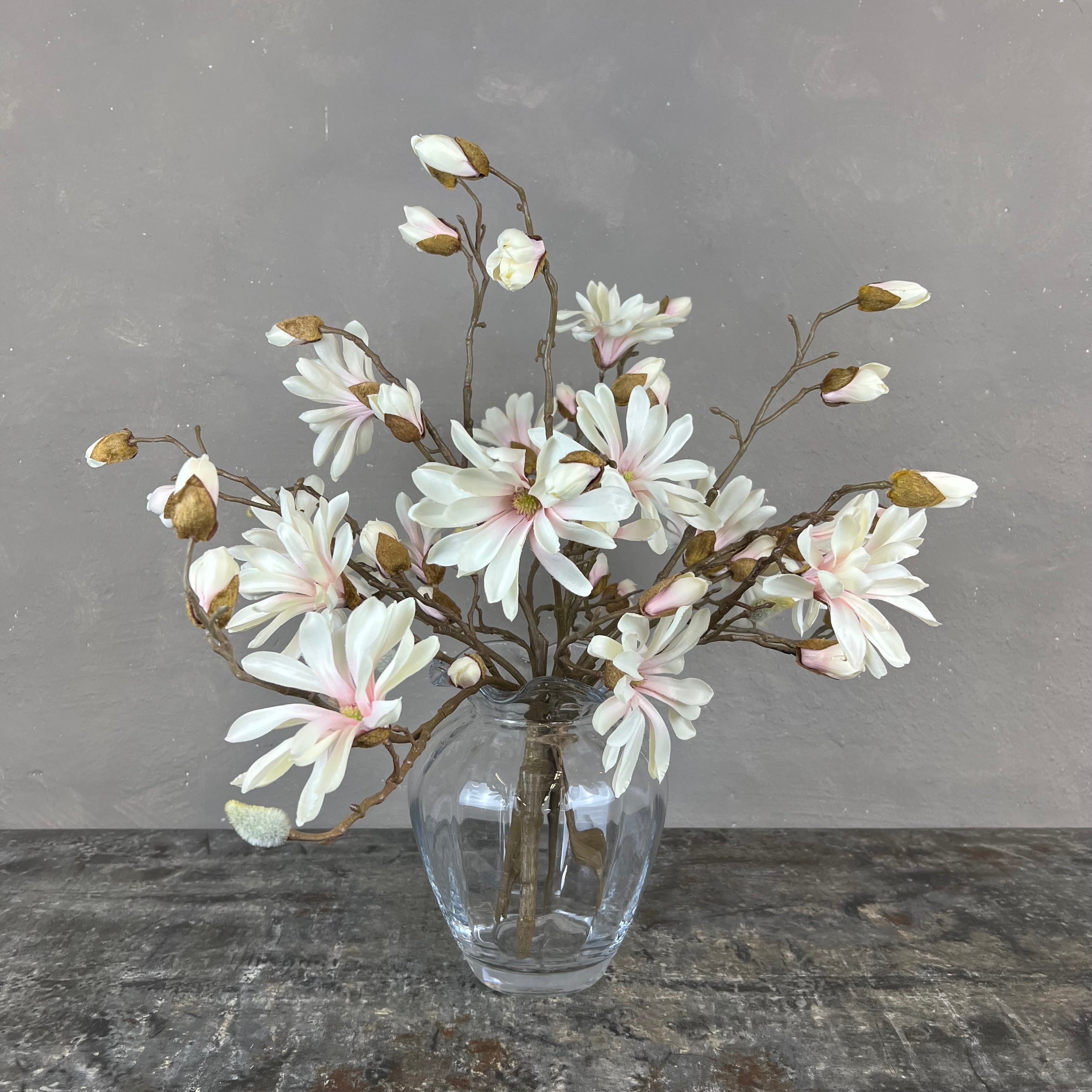 Japanske Magnolia - Rosa