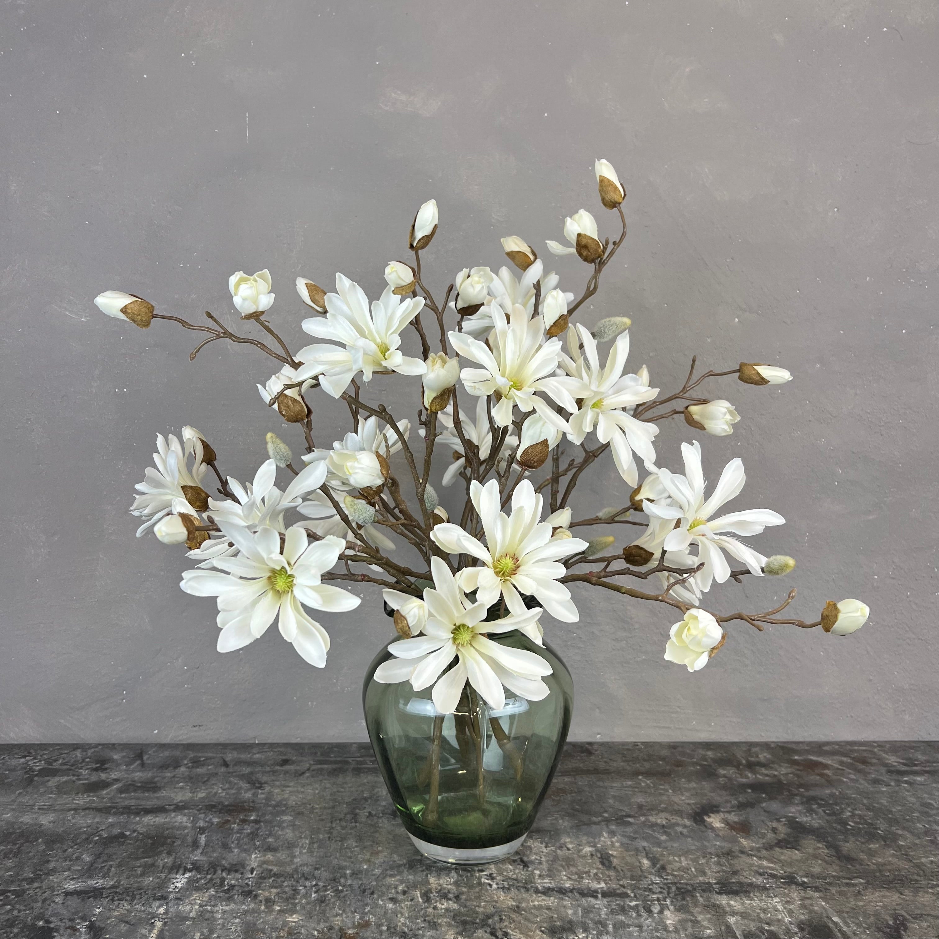 Japanske Magnolia - Hvid