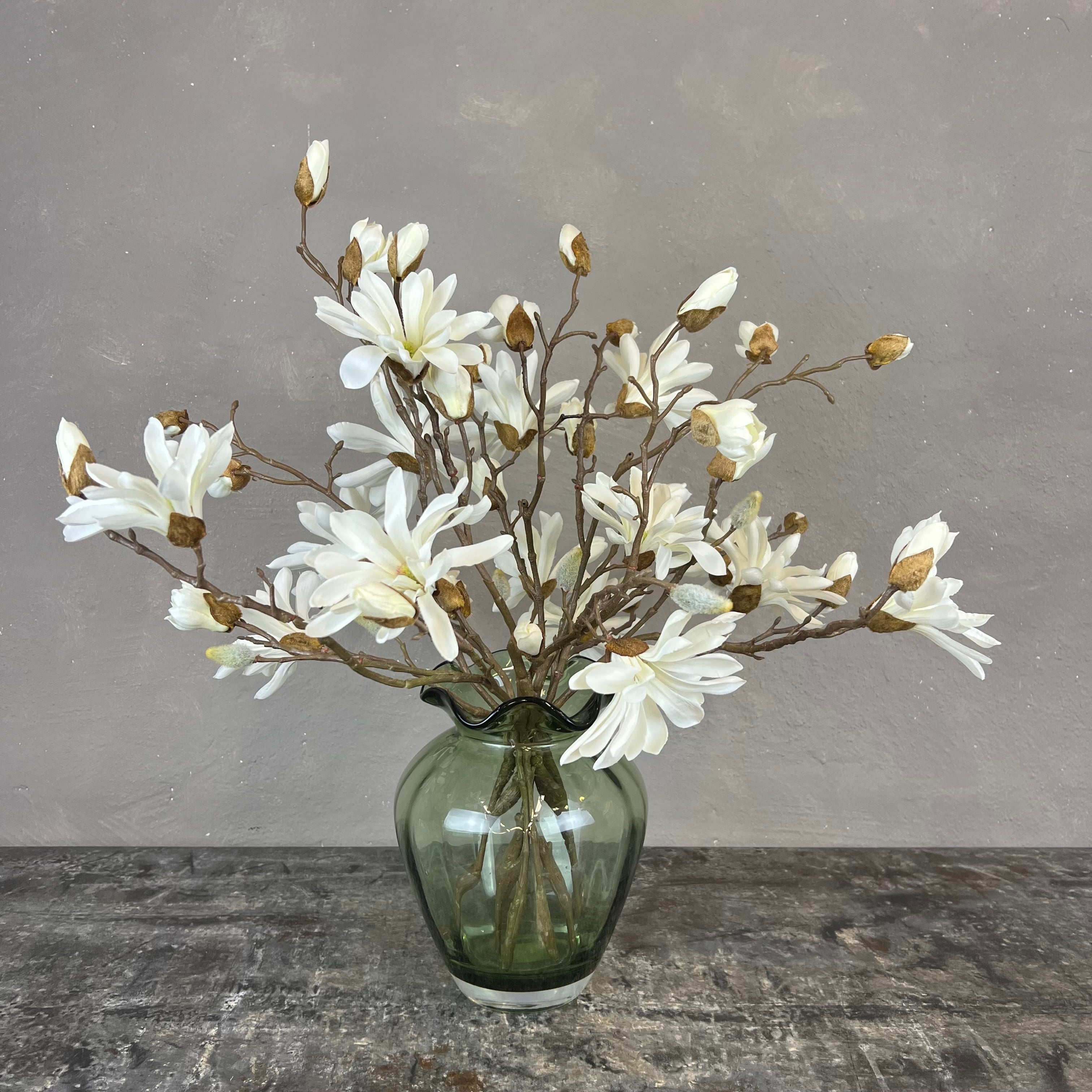 Japanske Magnolia - Hvid