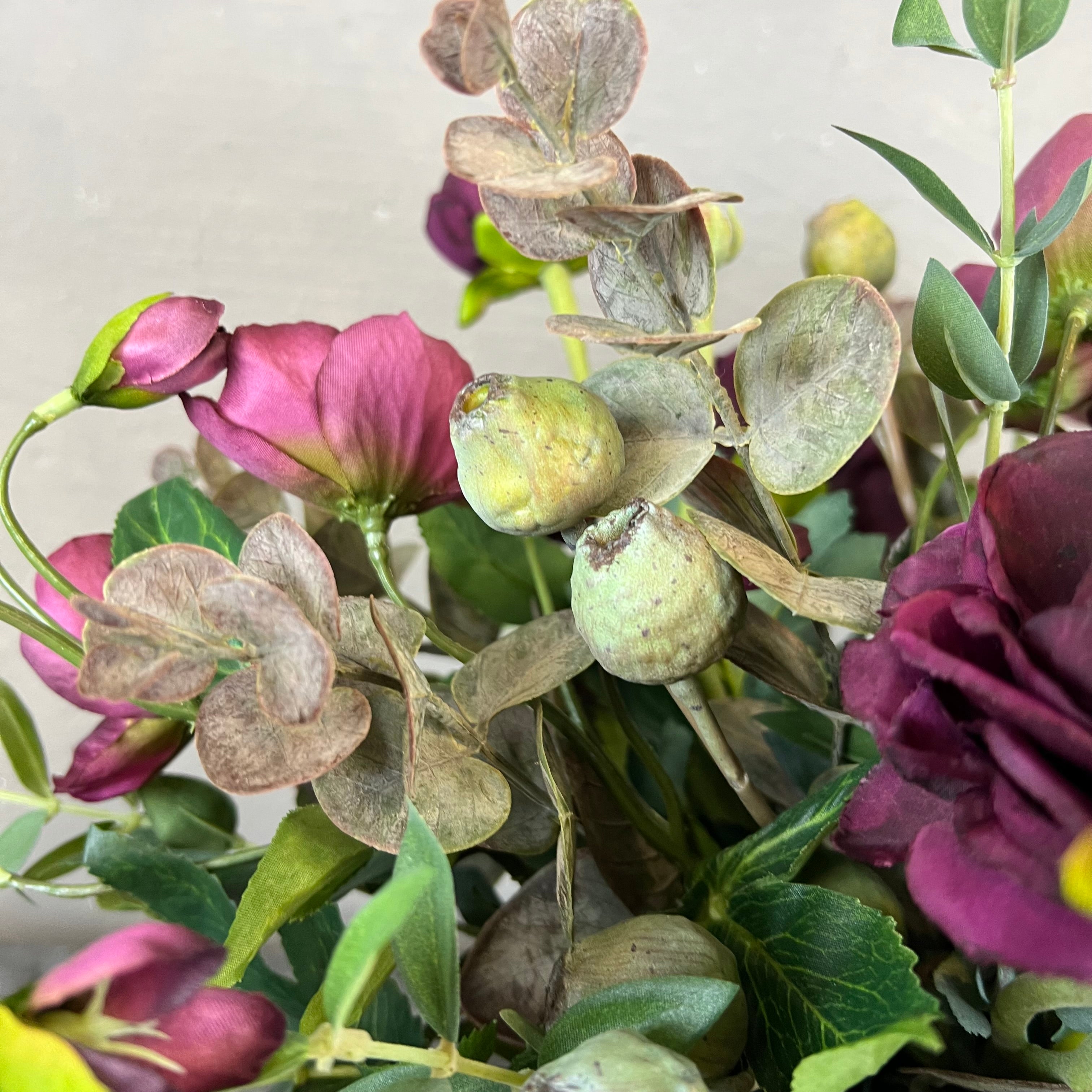 Lilla Forårsbebuder