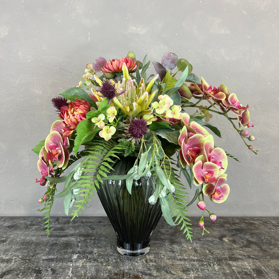 Finurlig Phalaenopsis