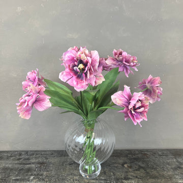 Enestående & Elegant