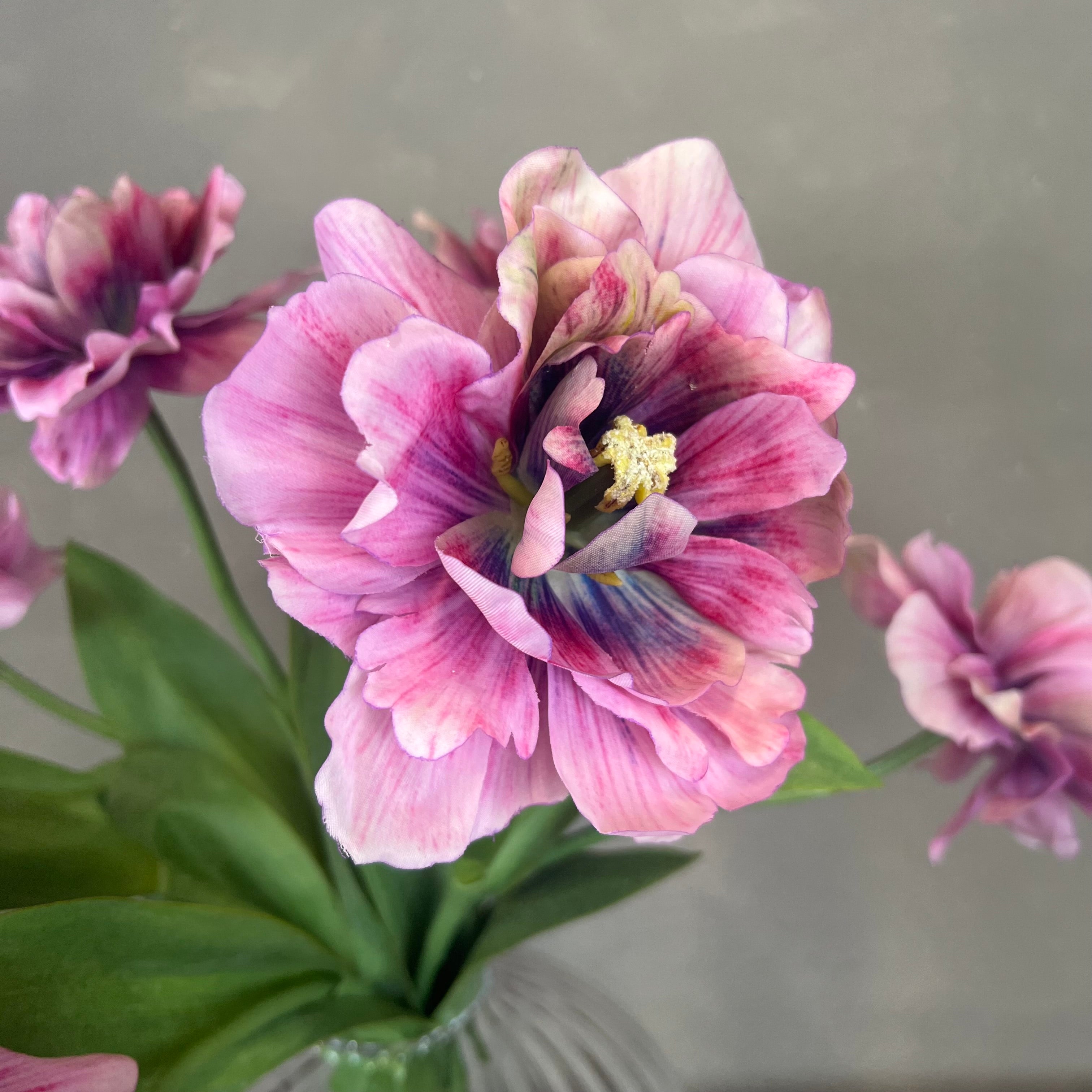 Enestående & Elegant