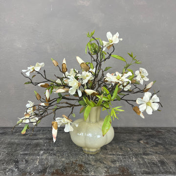 Myldrende Mini Magnolia
