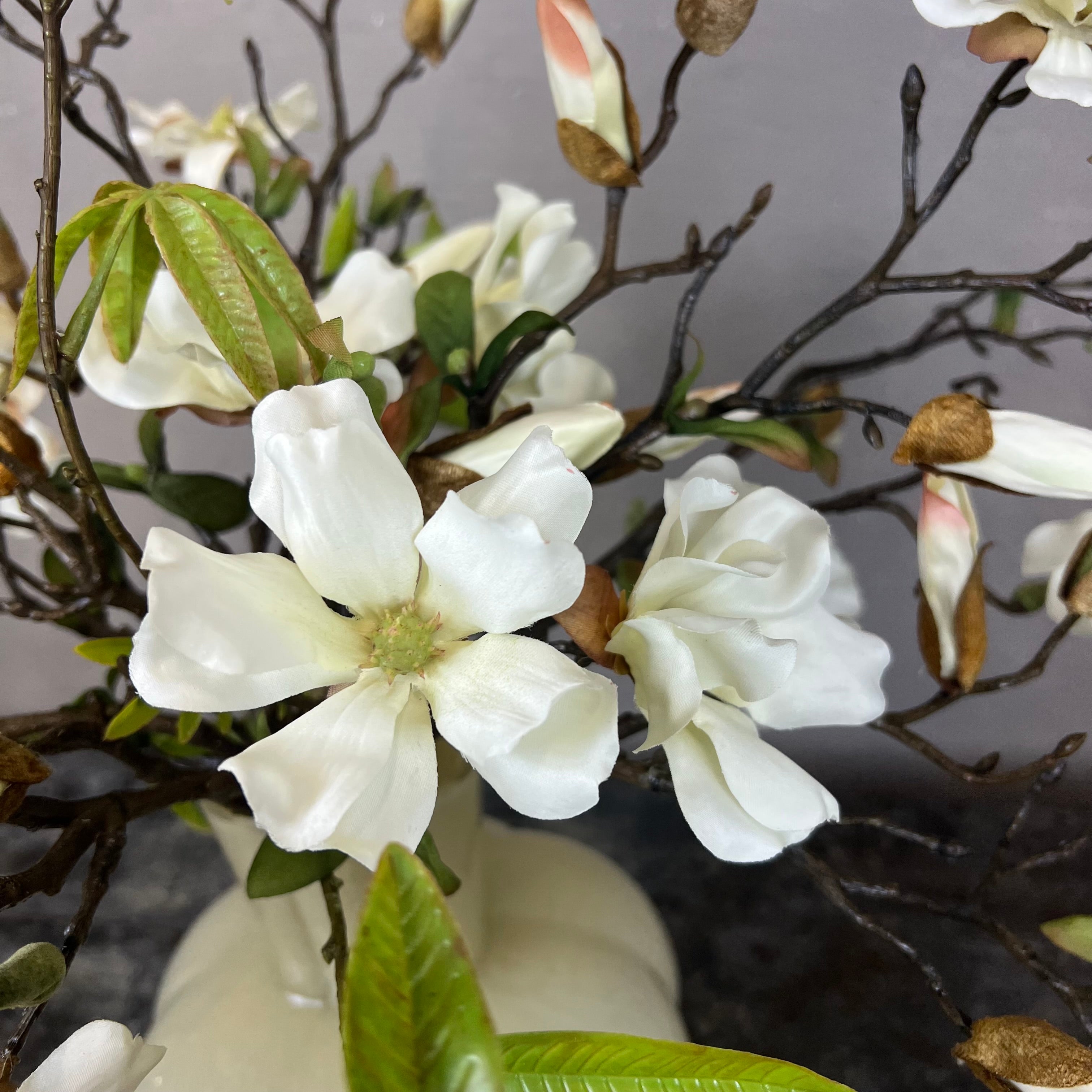 Myldrende Mini Magnolia