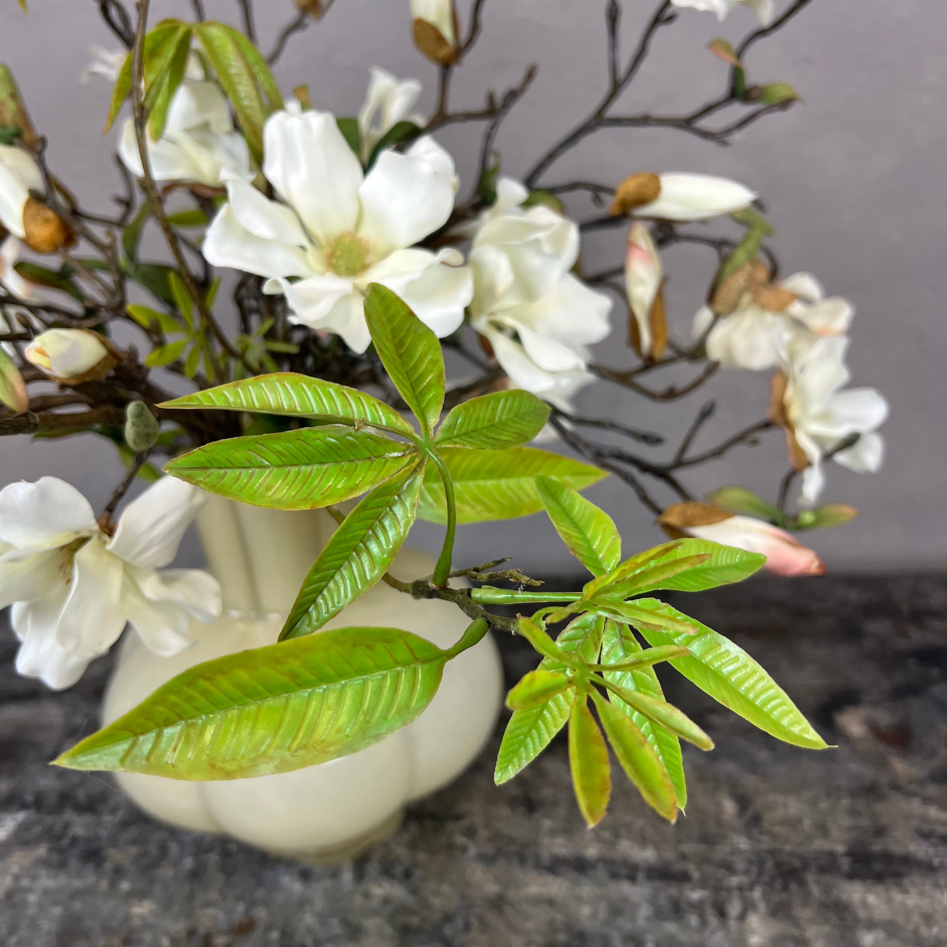 Myldrende Mini Magnolia