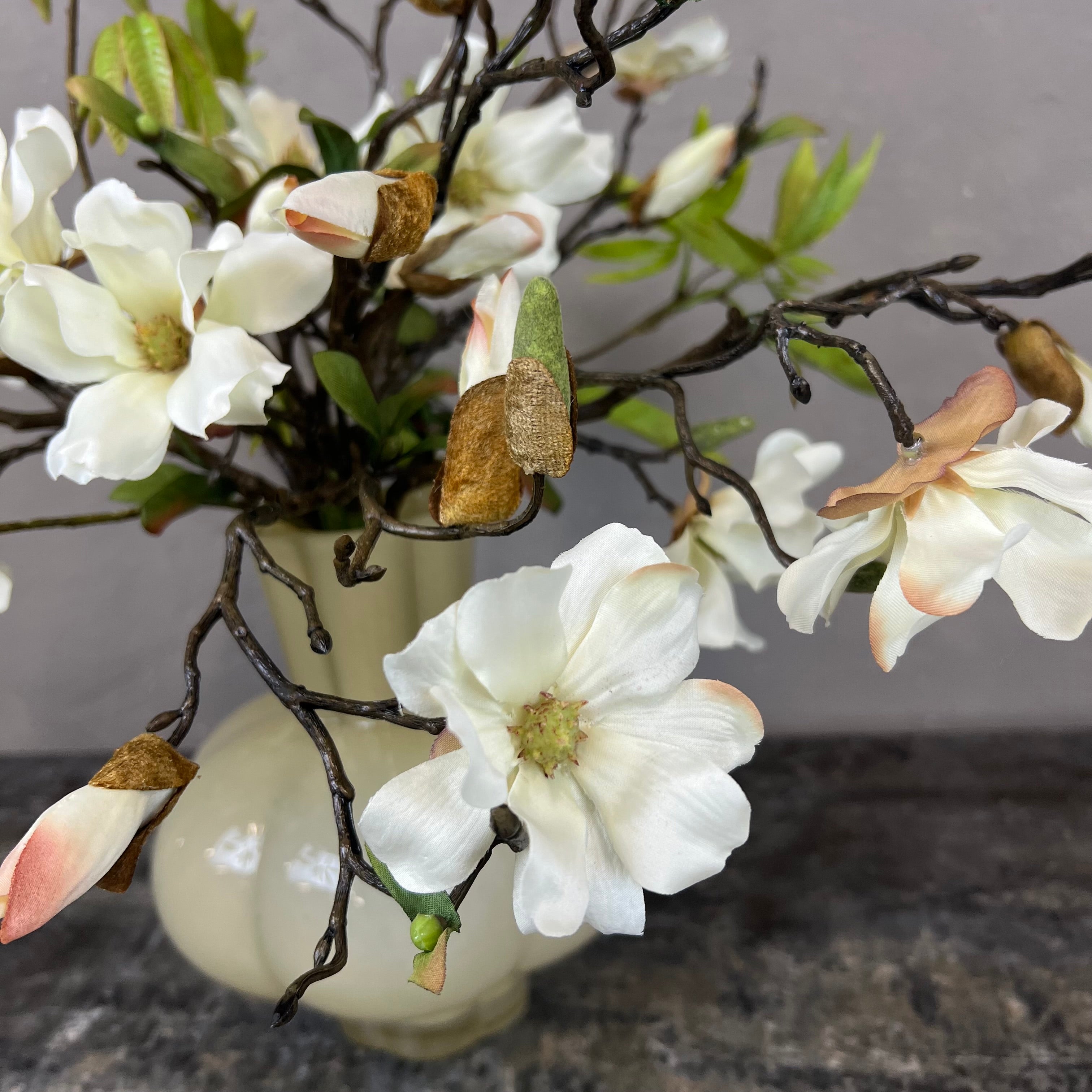 Myldrende Mini Magnolia