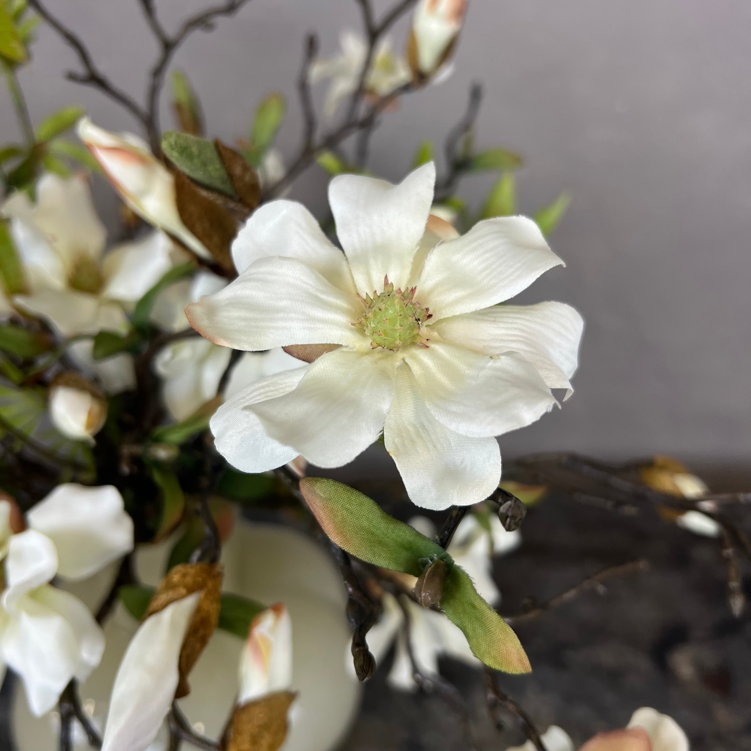 Myldrende Mini Magnolia