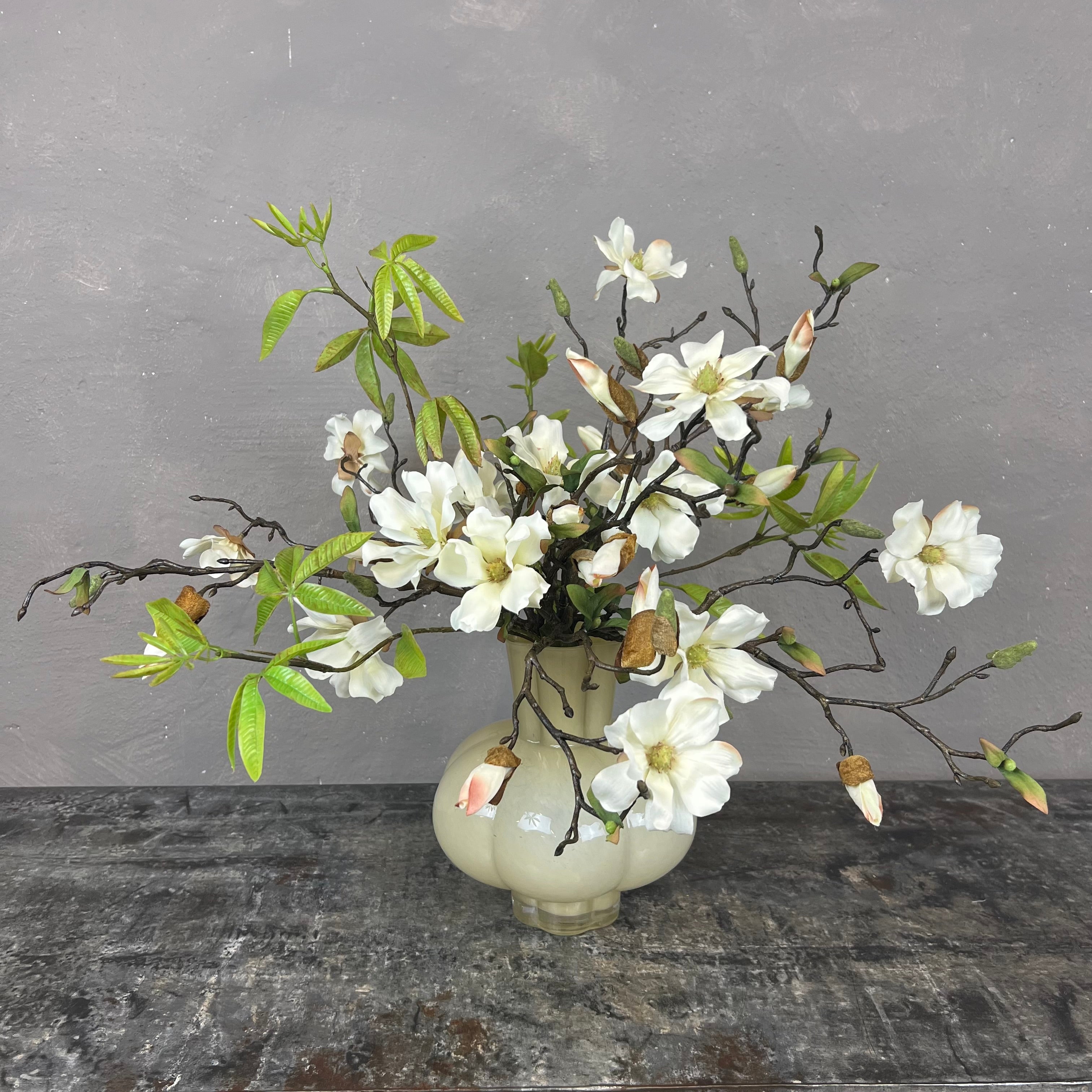 Myldrende Mini Magnolia