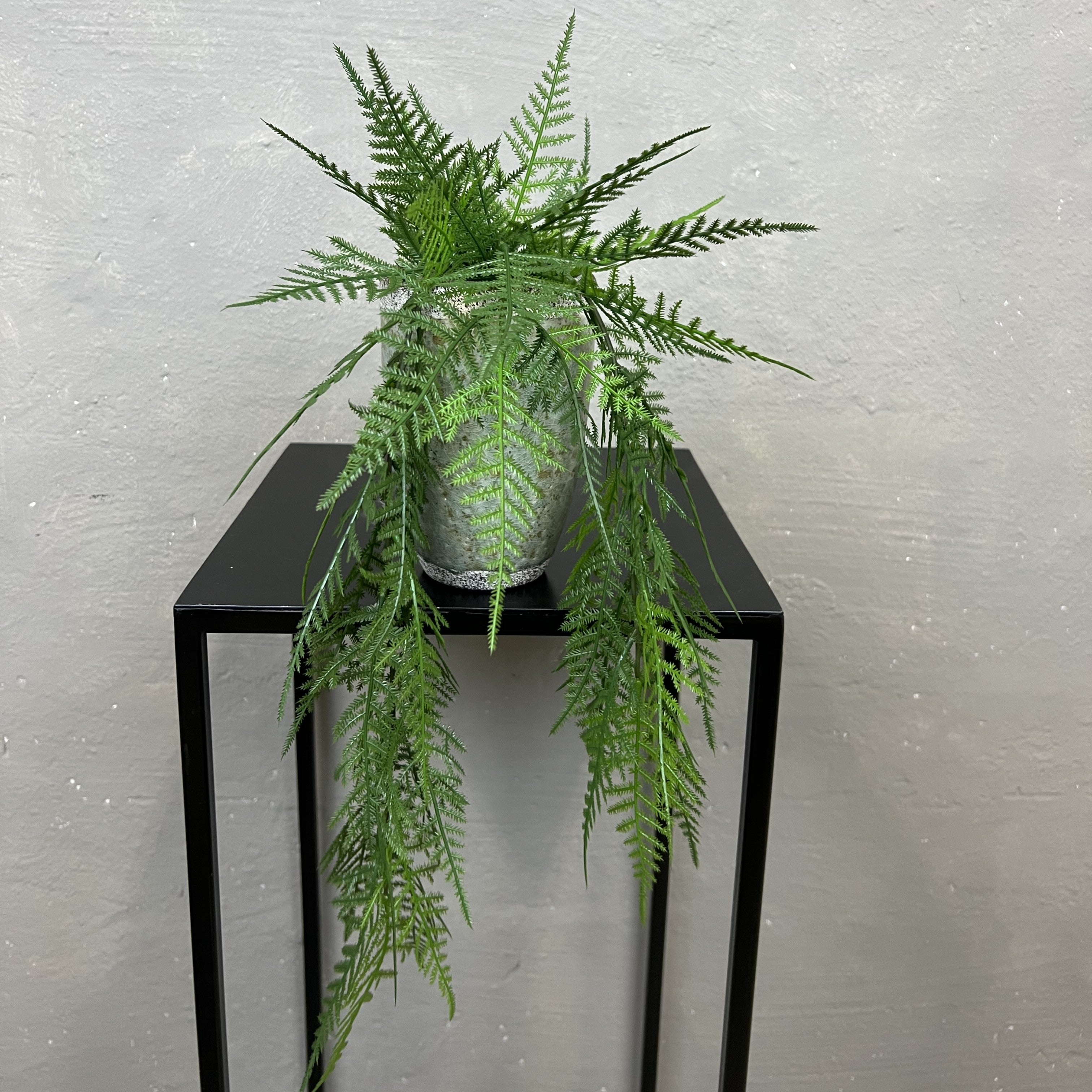 Mini Hænge Aspargus