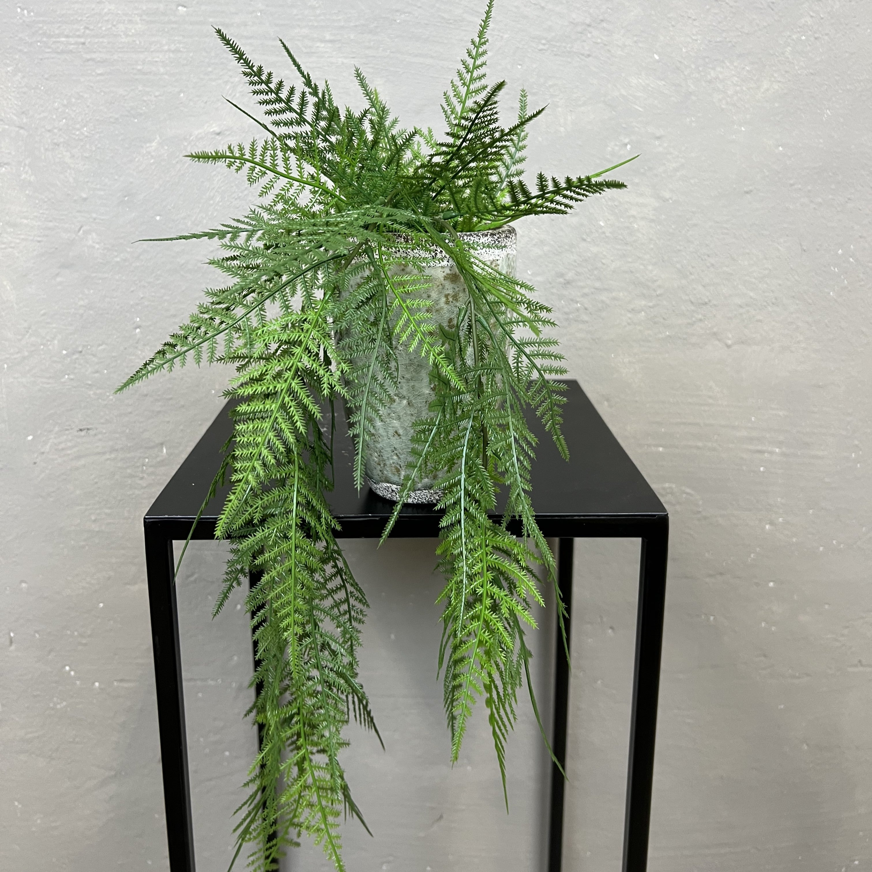 Mini Hænge Aspargus