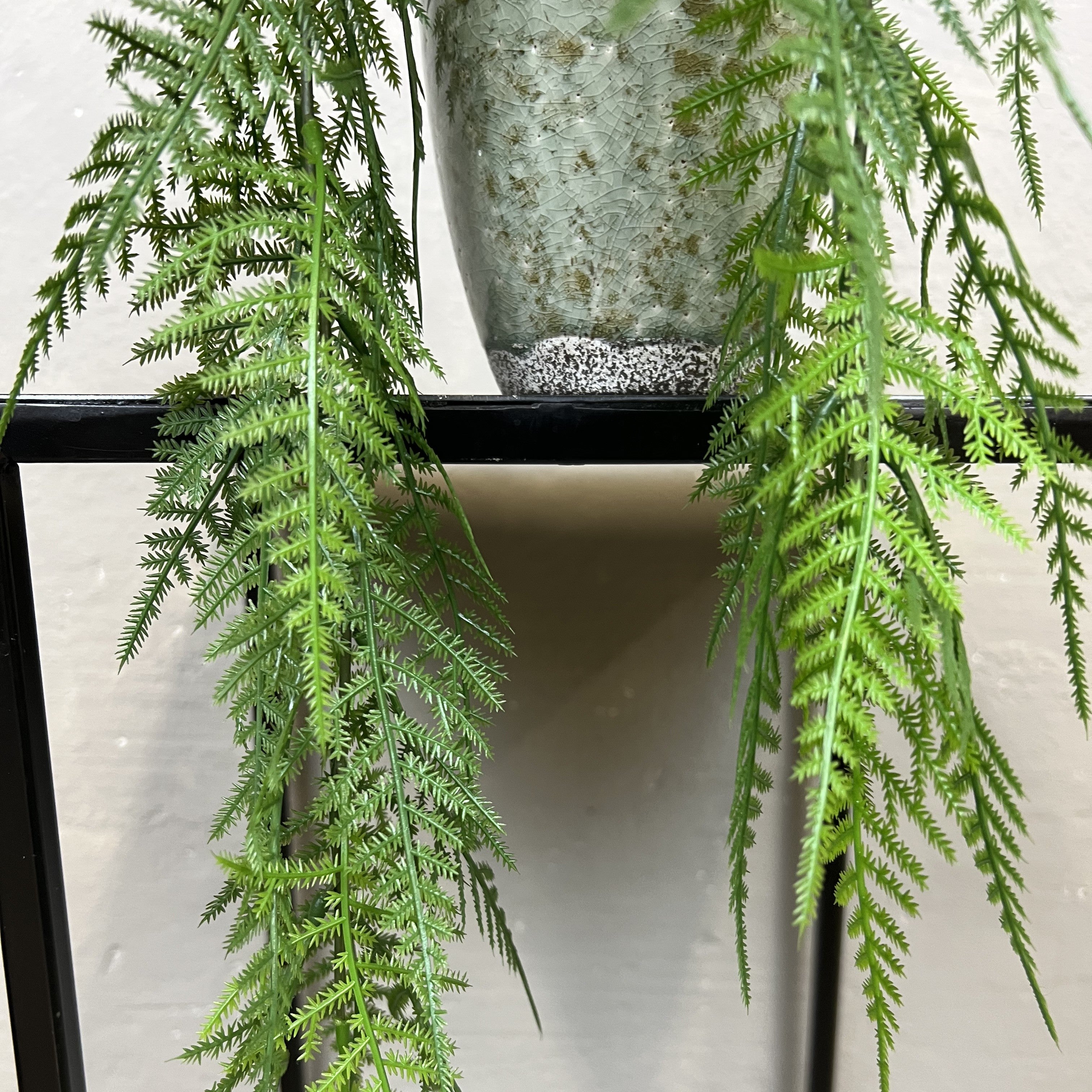 Mini Hænge Aspargus